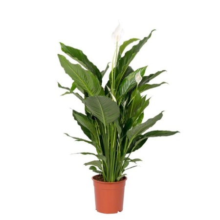 5cb569a9-c449-11f0-891d-246e9611e8f7-1