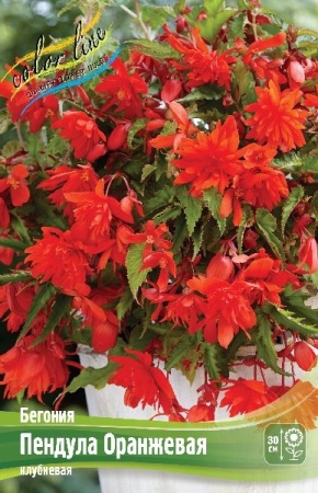 20c3edcd-2240-11e0-9fb4-00500454e615-1