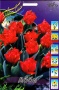 e5b0c218-5b82-11ef-8910-246e9611e8f6-1