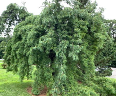 cd8f7d9a-d501-11f0-891e-246e9611e8f6-1