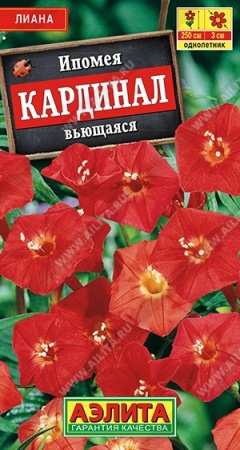 693746e5-f8c6-11ea-b984-005056c00008-2