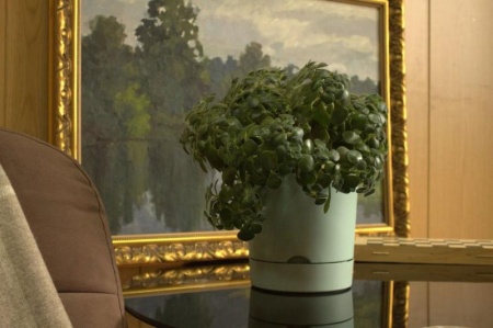 f440937d-da5b-11f0-891e-246e9611e8f6-1