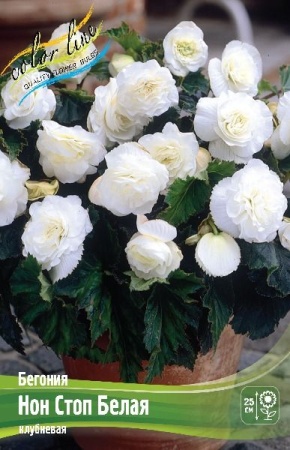 9ce85839-b449-11ee-8bd7-001e673ebdea-1