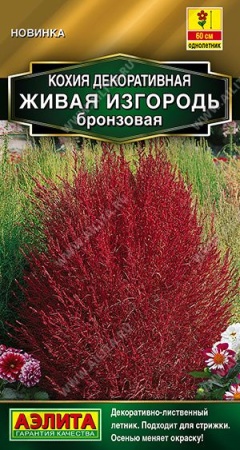 a99e307e-ba31-11f0-891d-246e9611e8f7-1