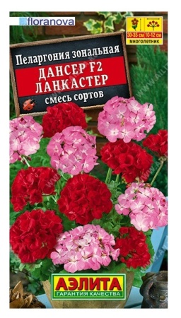 1f9c8da2-f80a-11ea-b984-005056c00008-1