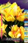 d35c5edd-5b7a-11ef-8910-246e9611e8f6-1