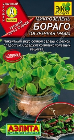 aab57762-0a6c-11ec-a8a4-005056c00008-1