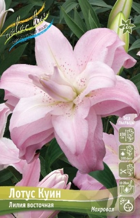 0dc5b1eb-1bc5-11e8-9db1-005056c00008-1