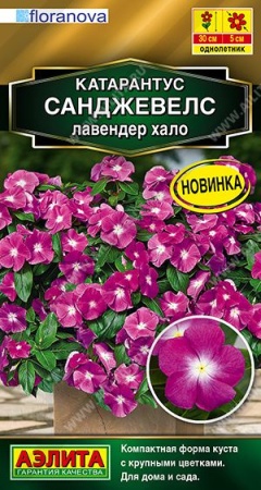 fb346a72-9eb2-11f1-892e-246e9611e8f6-1