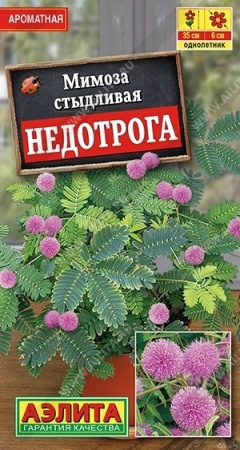0ff6ca24-0fff-11e8-9960-005056c00008-1
