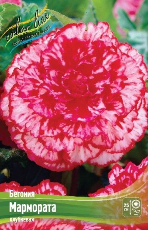 cda85edb-6f31-11ec-8bcd-005056c00008-1