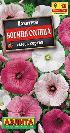 7d524ded-dcea-11dd-9138-00500454e615-1