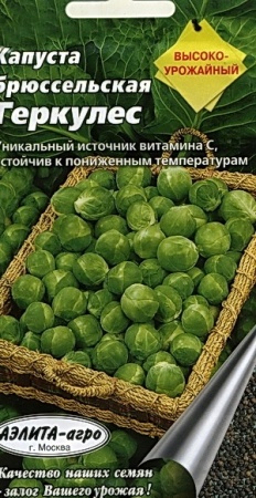 50f0495c-e73b-11e0-9ebd-00500454e615-2