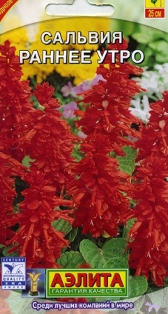 1346333c-2b13-11e1-be7f-00500454e615-2