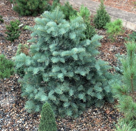 5f9a7074-d4e3-11f0-891e-246e9611e8f6-1