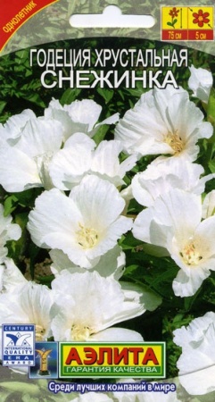 70f41b63-dcea-11dd-9138-00500454e615-2