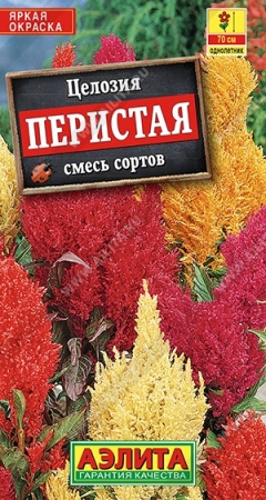 13463342-2b13-11e1-be7f-00500454e615-1