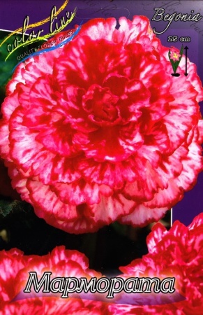 cda85edb-6f31-11ec-8bcd-005056c00008-1