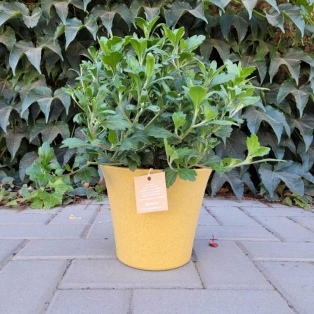 b462c1e3-682b-11ee-ae0a-001e673ebdea-1