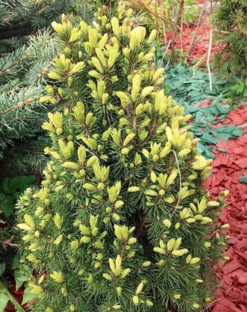 e60c586d-d037-11f0-891e-246e9611e8f6-1