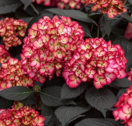 afd96f1e-cea0-11f0-891e-246e9611e8f6-1