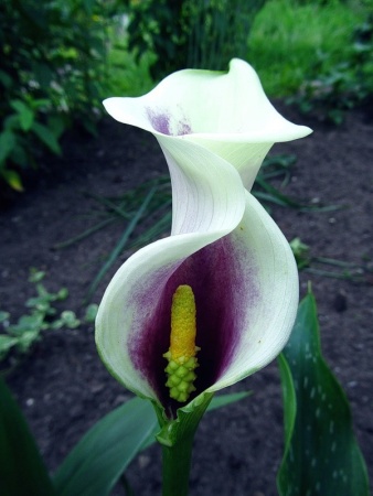 232c717e-fa91-11dd-868a-0019dbe91ea3-1