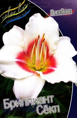 331fa4b5-3654-11df-a2c0-00235435134b-1