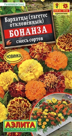 04e96e89-f803-11ea-b984-005056c00008-2