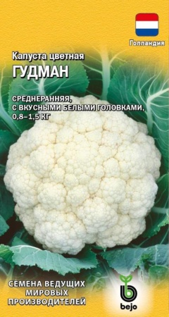 f64fba44-a37b-11e8-9ac1-005056c00008-1