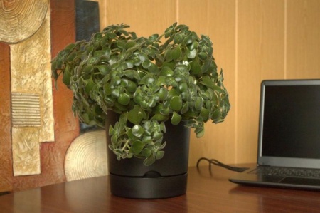 2f07877e-da5c-11f0-891e-246e9611e8f6-1