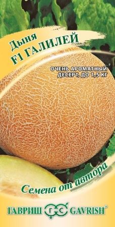 7757a6be-dcea-11dd-9138-00500454e615-1