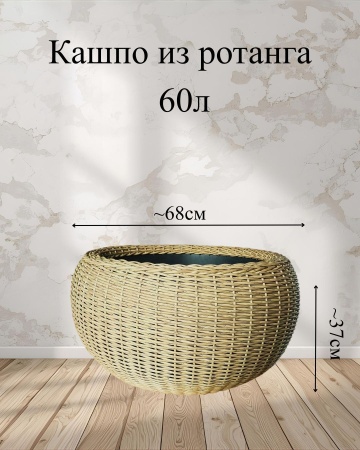 74928225-da86-11f0-891e-246e9611e8f6-3