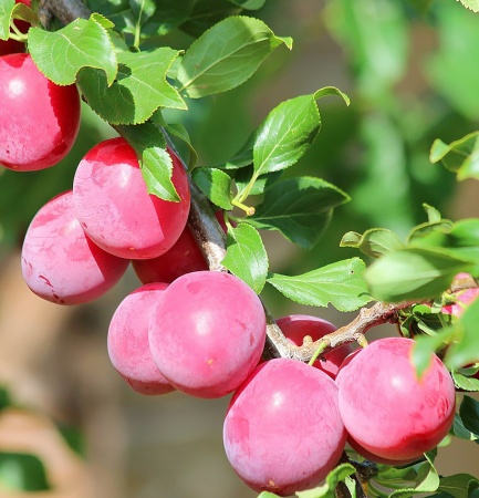 434aa791-cc07-11ef-8915-246e9611e8f5-2