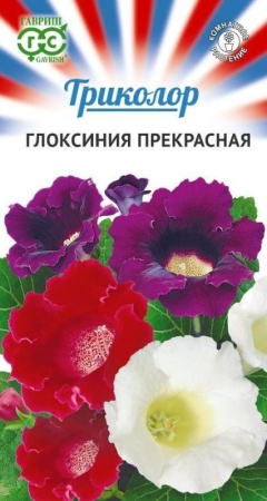 1d36b33c-ce8c-11eb-8e2c-005056c00008-1