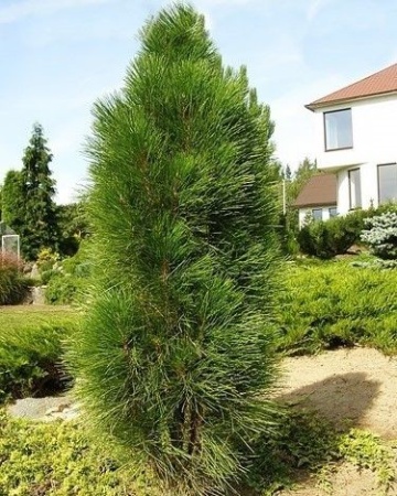 0f8efddb-3c9d-11e8-8910-005056c00008-1