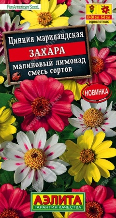 ddb26486-f81d-11ea-b984-005056c00008-2