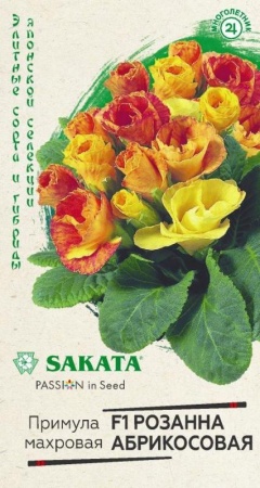 82f98bf9-798a-11e1-9ad6-00500454e615-1