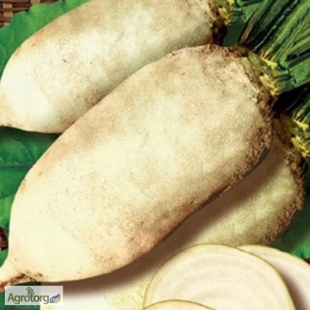 80d561ae-d454-11e4-9d35-001e673ebdea-1