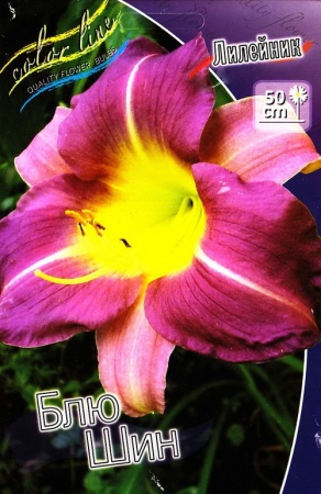 016beba2-3e12-11df-884b-0019dbe91ea3-1