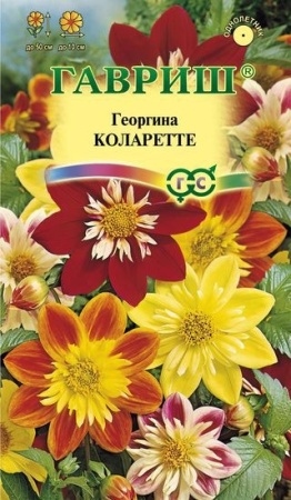 6e79e116-0acb-11e2-9c64-00500454e615-1
