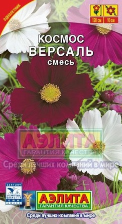 51a3c304-2b02-11e1-be7f-00500454e615-2