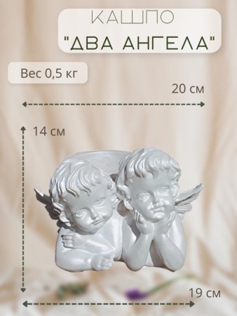 ce8202e8-02bb-11ee-88b6-001e673ebdea-1