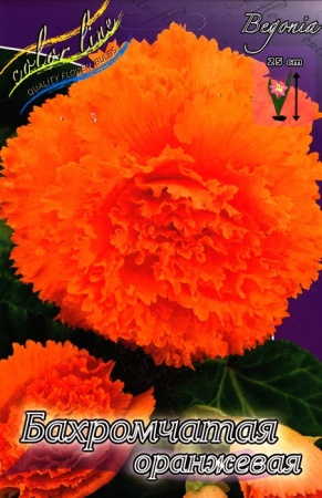 e8e0ac15-373f-11eb-b90a-005056c00008-1