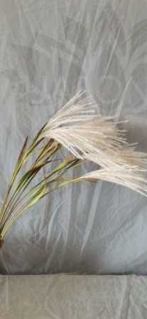 8b45388c-f027-11ef-8915-246e9611e8f5-1