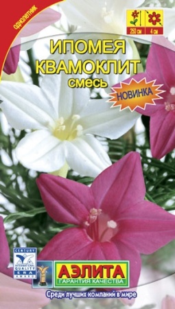 7757a7b0-dcea-11dd-9138-00500454e615-2