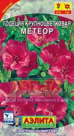 8c1d4d18-0ab5-11e2-9c64-00500454e615-2