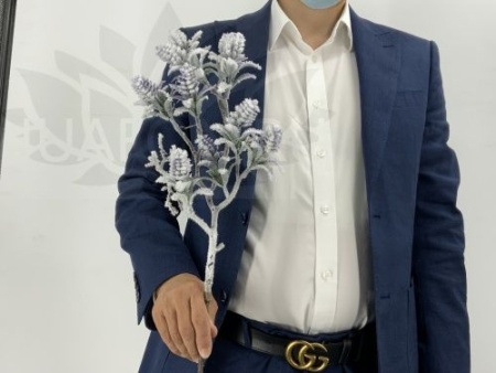 16da0cec-caa3-11f0-891e-246e9611e8f6-1