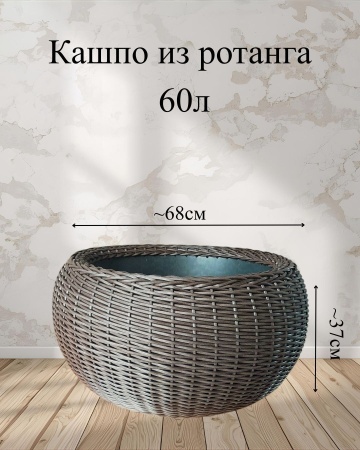 5f574ac8-da87-11f0-891e-246e9611e8f6-3