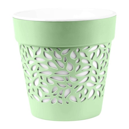 89ad590e-da2e-11ef-8915-246e9611e8f5-1