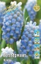 67fbebca-b650-11df-8565-002354cb09e1-1